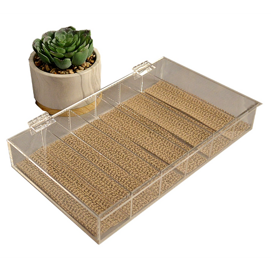 Acrylic Sunglasses Storage Box 6-Compartment